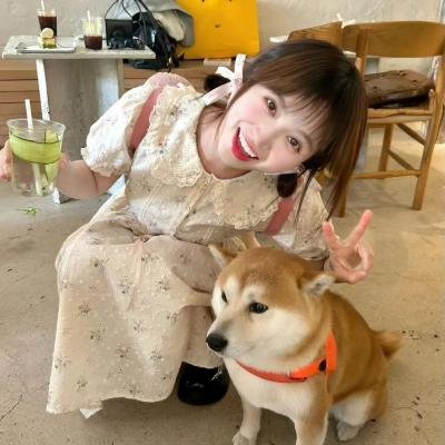 北非特警