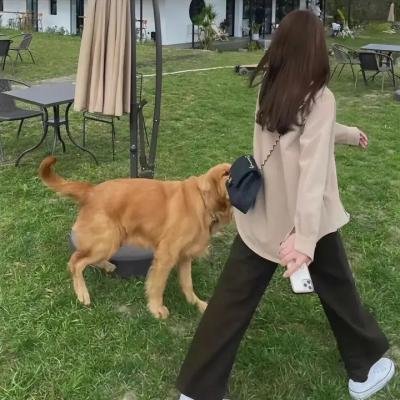 秘密同盟